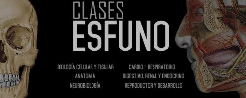 portada esfuno